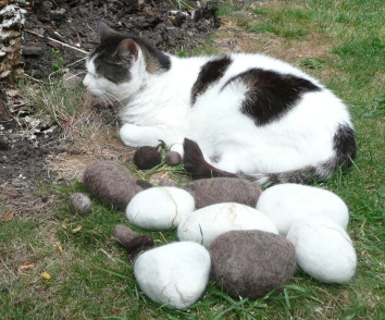 cat sleeping by felted rocks